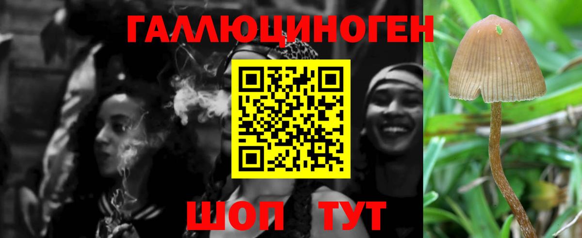 Армавир  Галлюциногенные грибы Psilocybe  где купить наркоту  Вход с VPN 